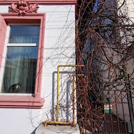 Casa Liveni Daire Bükreş Dış mekan fotoğraf
