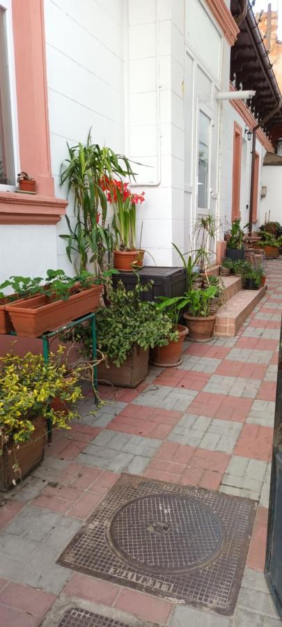 Casa Liveni Daire Bükreş Dış mekan fotoğraf