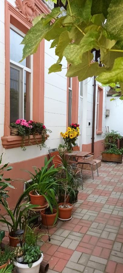 Casa Liveni Daire Bükreş Dış mekan fotoğraf